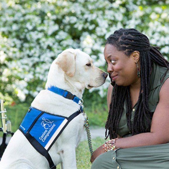 SERCOVE Airline Approved Collapsible Medium Sized Dog/Cat Carrier ( 20 Lbs.max) - Picture 5 of 17